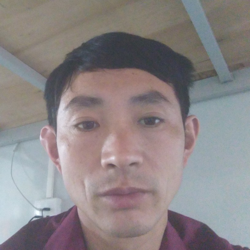火龙果能干的照片