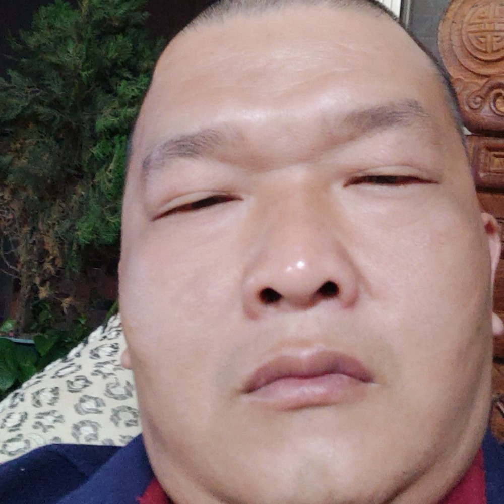 柜子坦率的照片