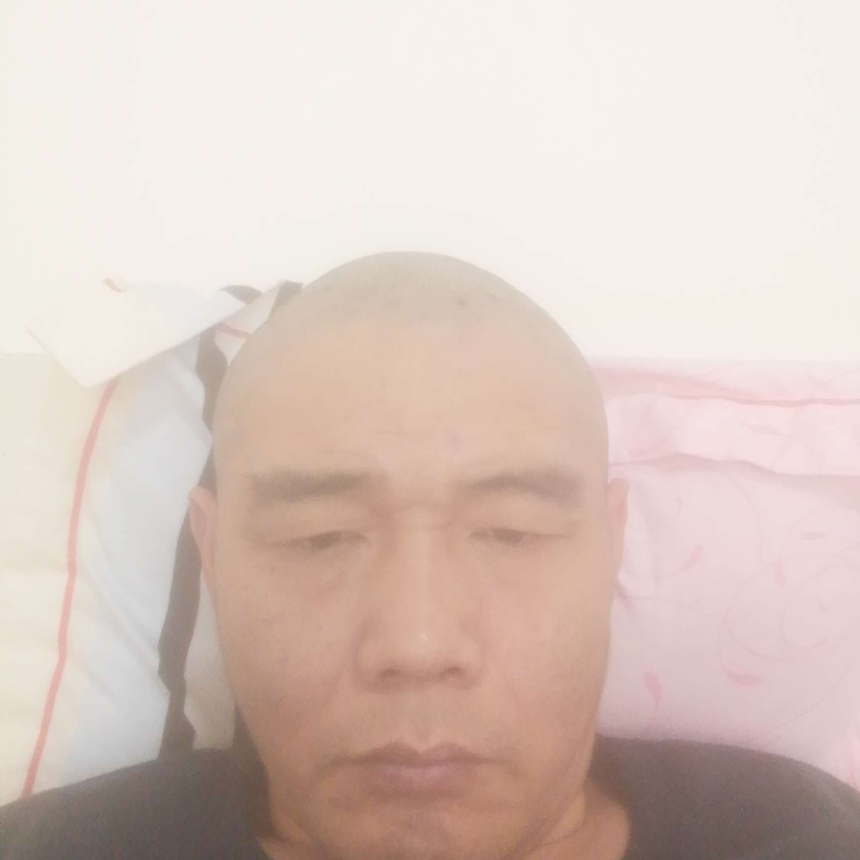 凉城蹁跹俊逸的照片