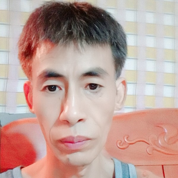羊可爱的照片