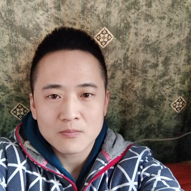 迷踪猫的照片