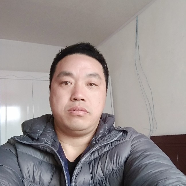 大胆小蝴蝶的照片