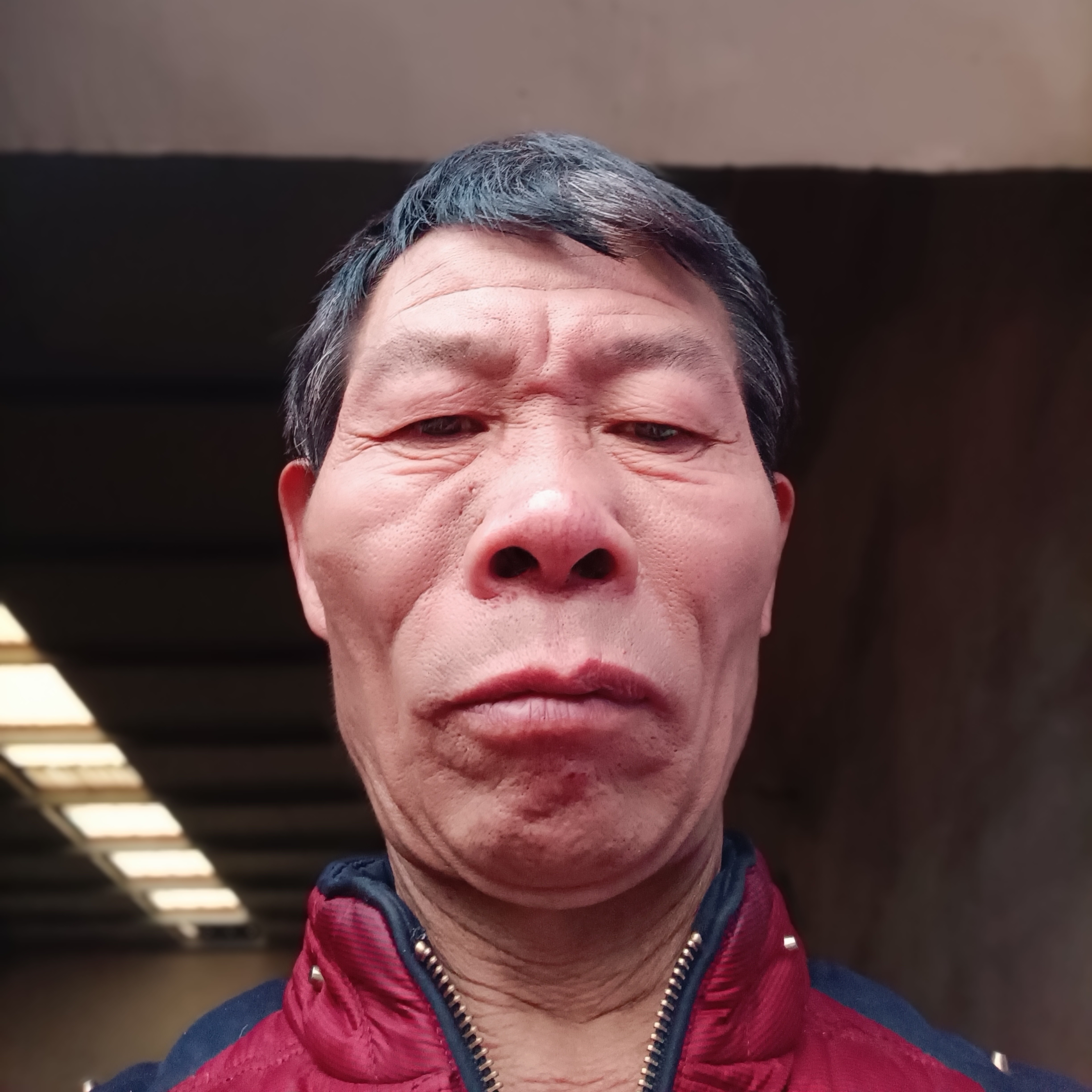 黄蜂有会撒娇的照片