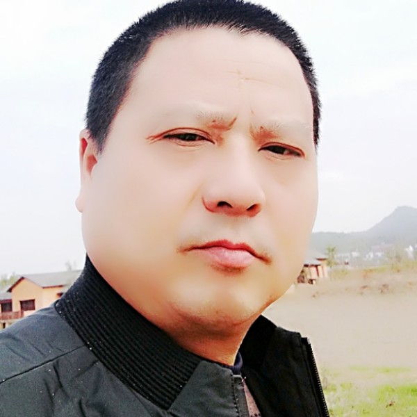 后来乌龟的照片