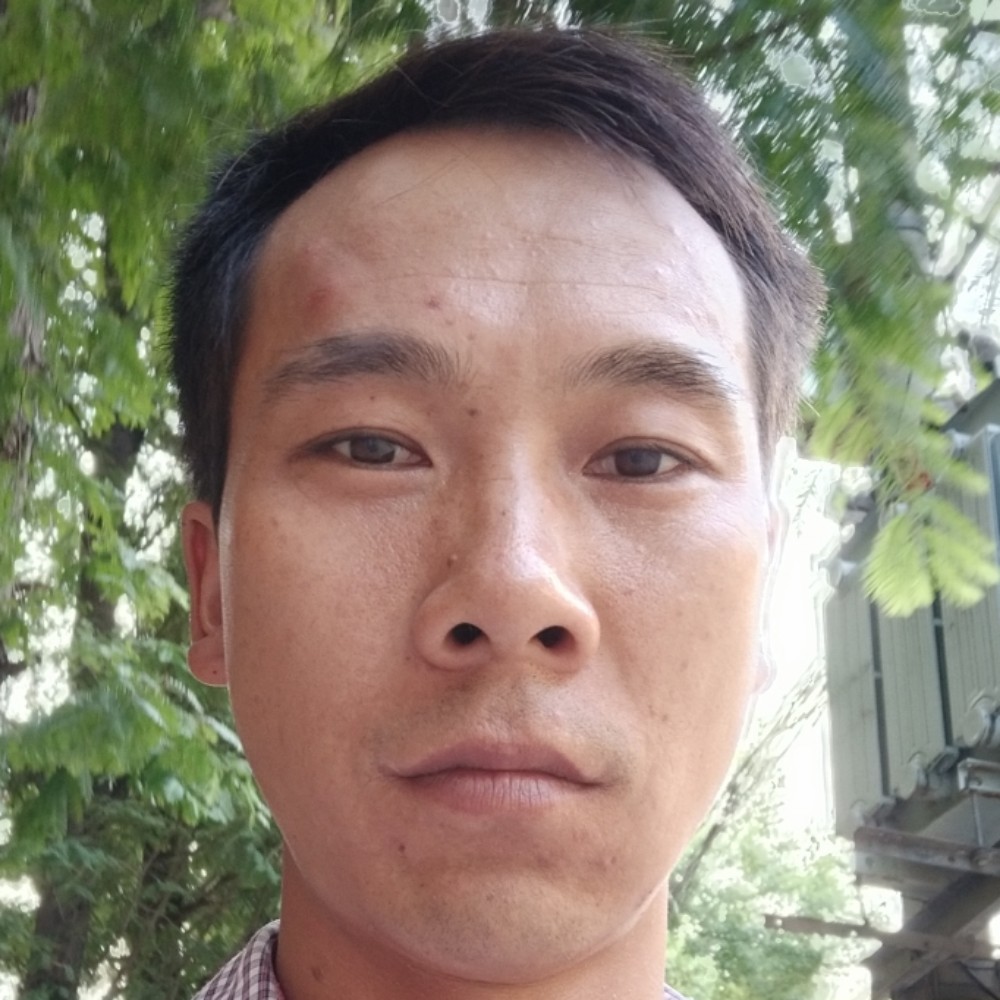 鸭子翩飞的照片