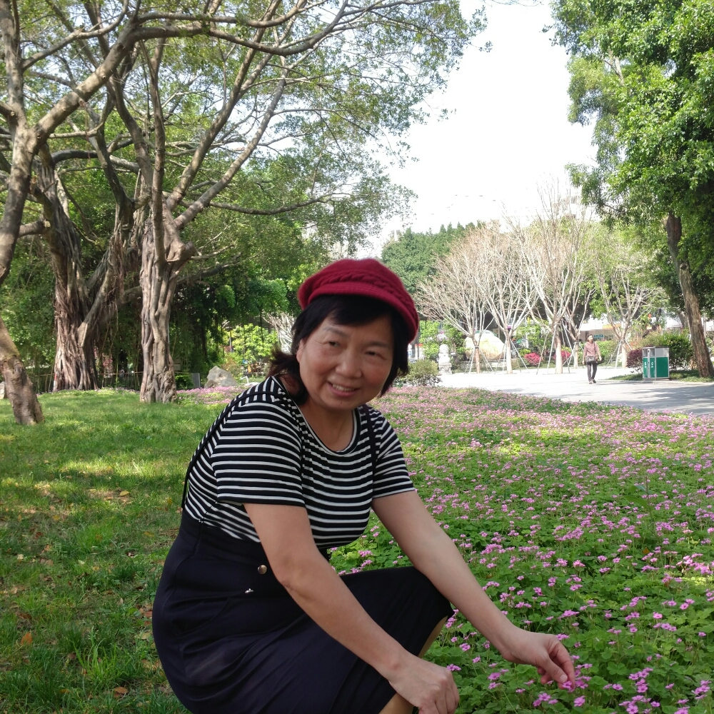 笨笨蹁跹白昼的照片