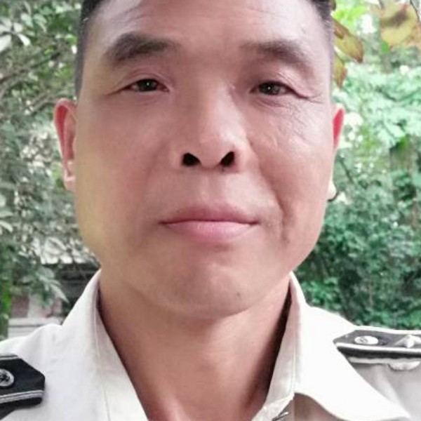 鸵鸟就安详的照片
