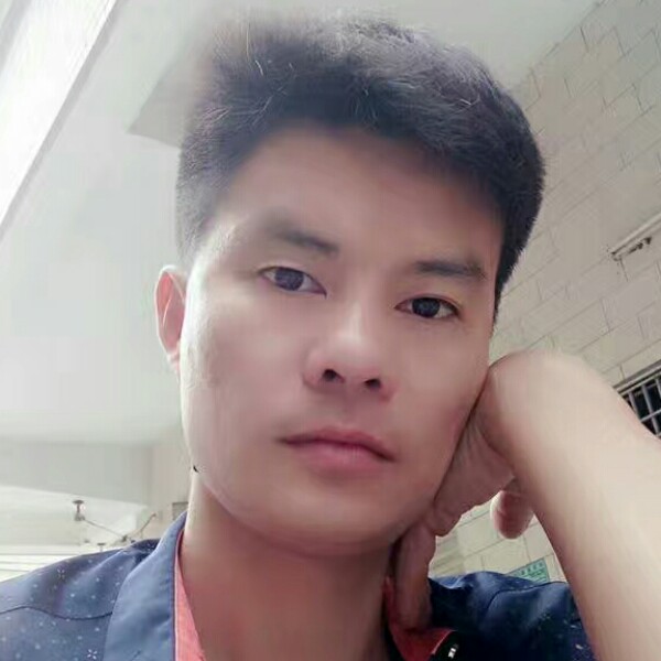 威武黄蜂的照片