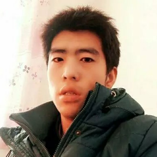 淡定等于玫瑰的照片