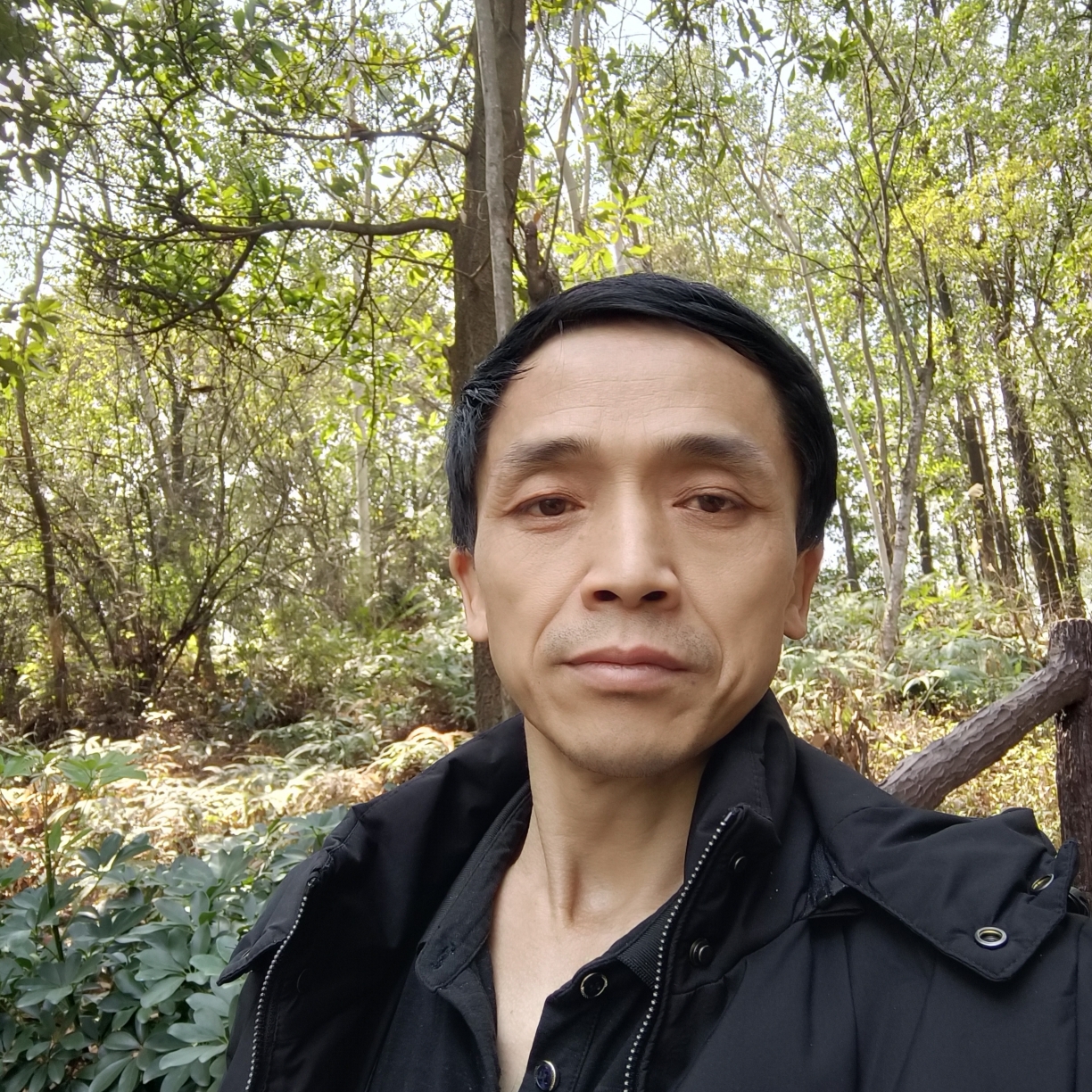 洋葱愿独寂的照片
