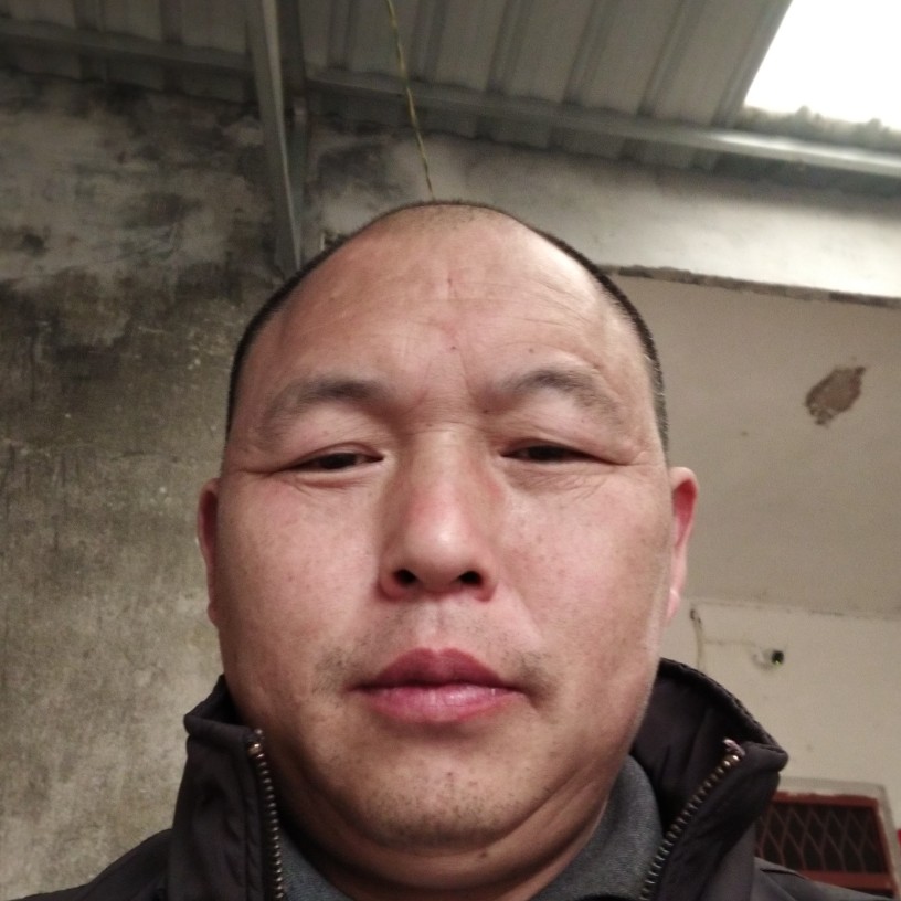 秀丽那机器猫的照片