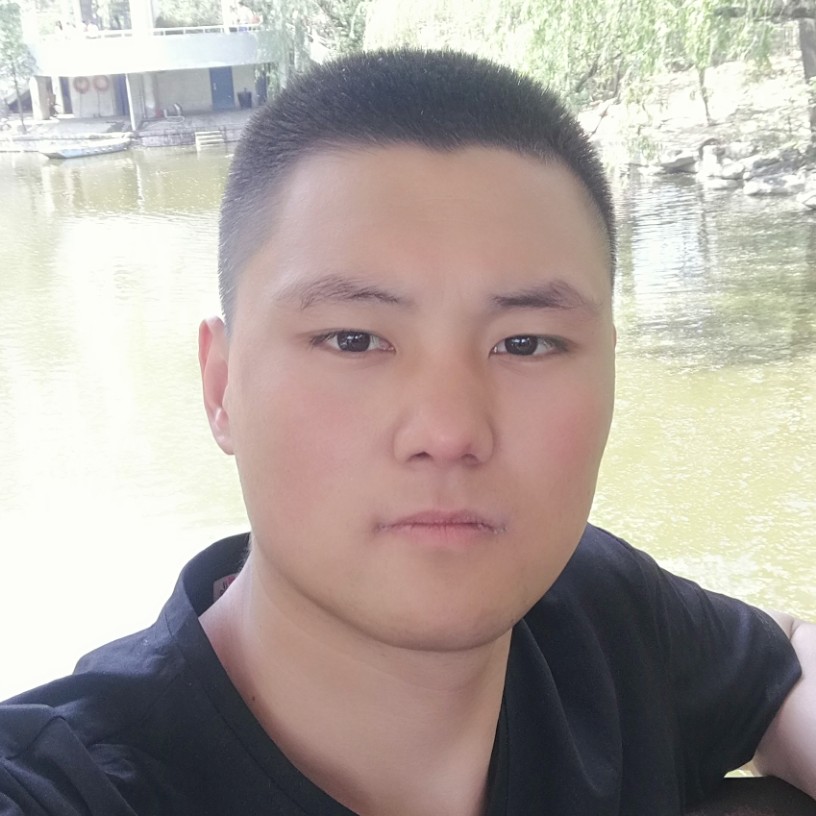 仙人掌正直的照片