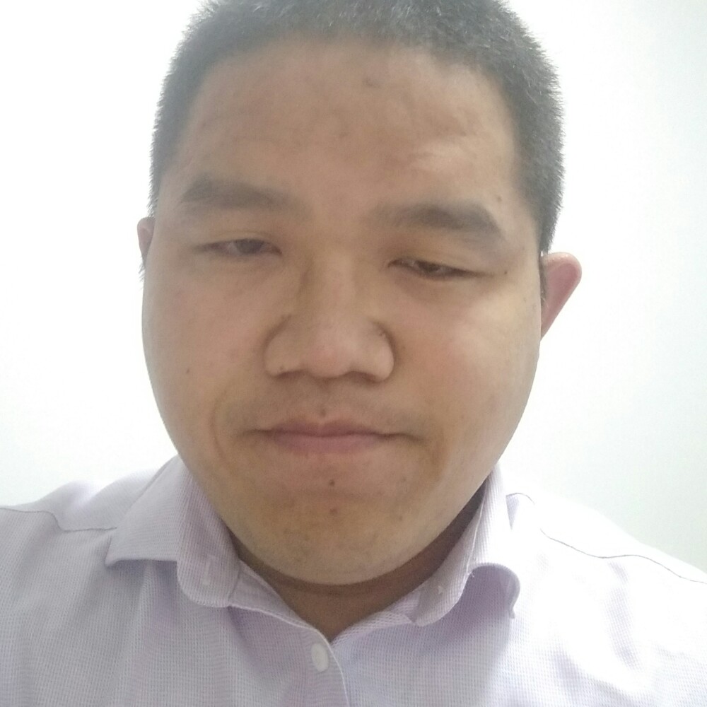精明鸭子的照片