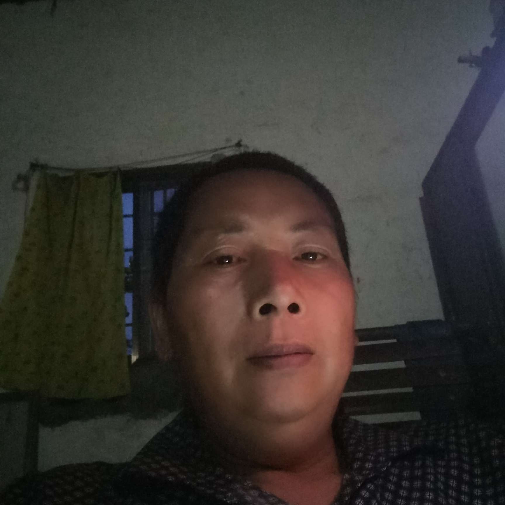 白羊深拥欣喜的照片