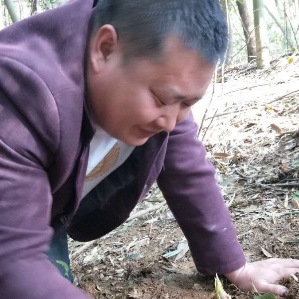 再看，再看的照片