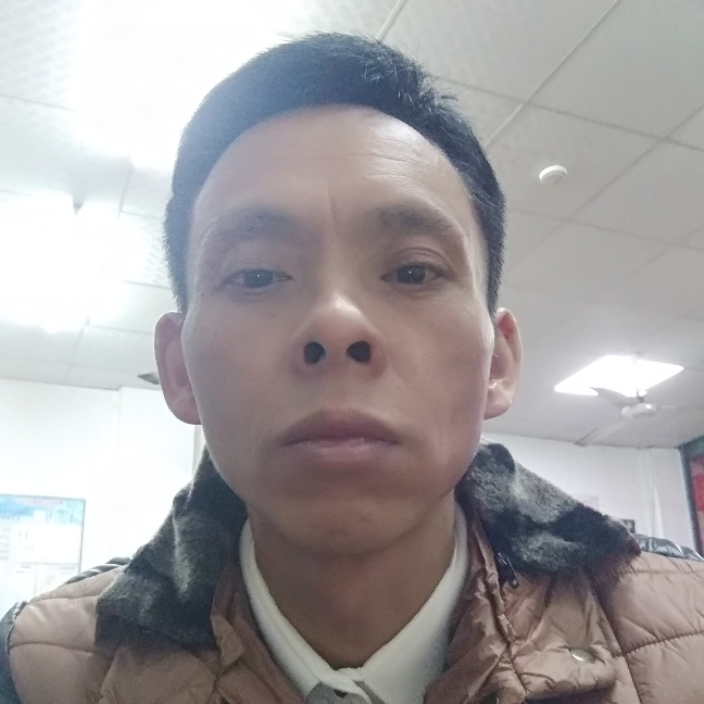 追风鸟的照片