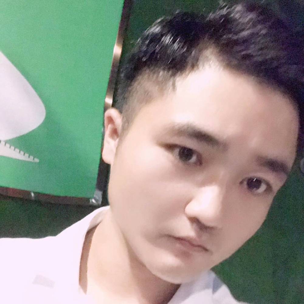 苗条浅吻河马的照片