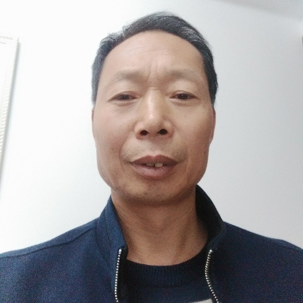 大象灵巧的照片