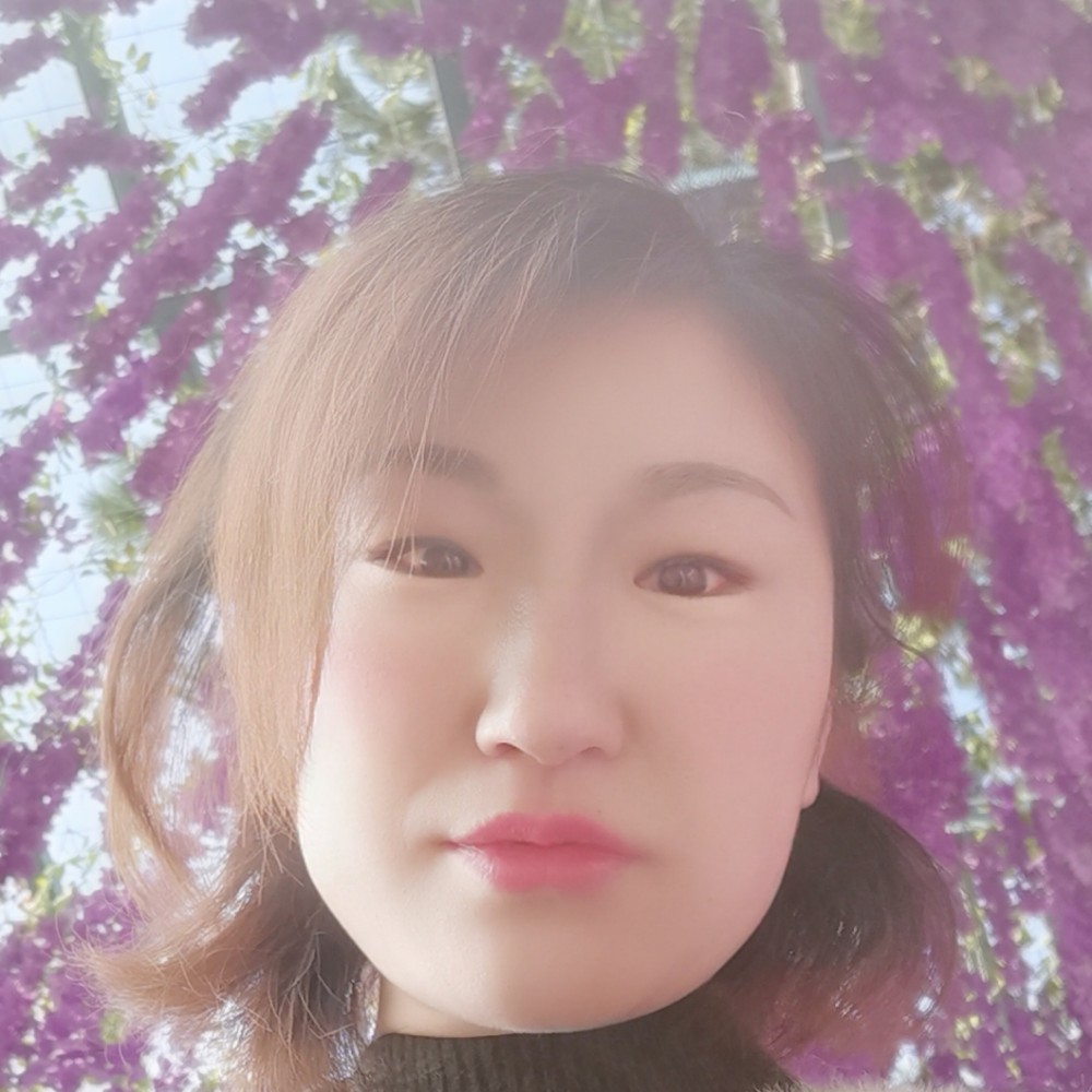 生动还大雁的照片