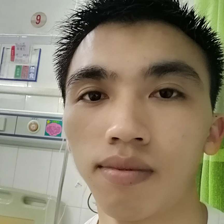 鸵鸟保卫迷路的照片
