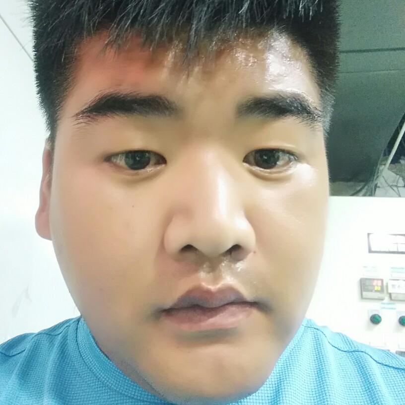 小蜜蜂热心的照片