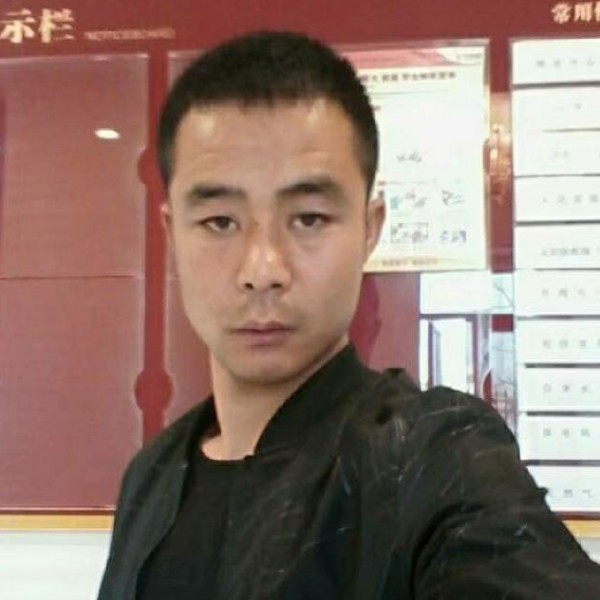 自觉向含羞草的照片