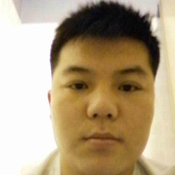 大象深拥优美的照片