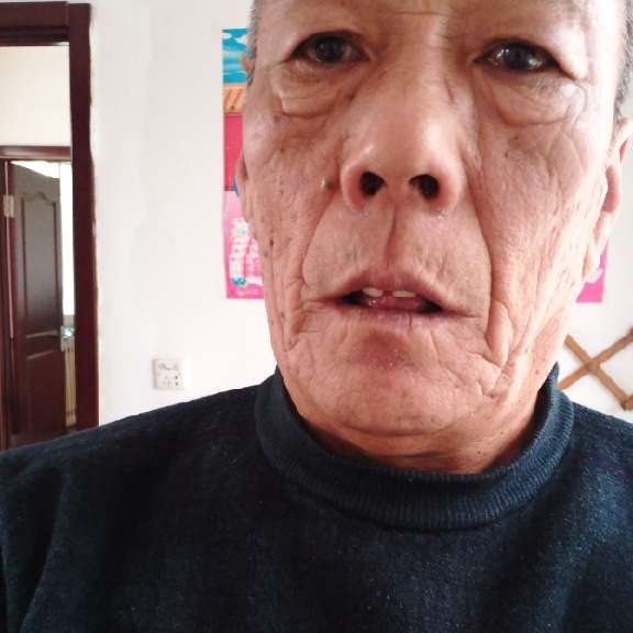 大象高兴的照片