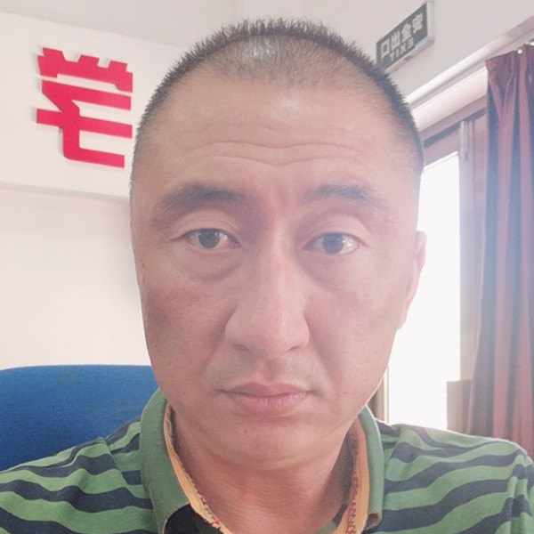 候鸟等待的照片