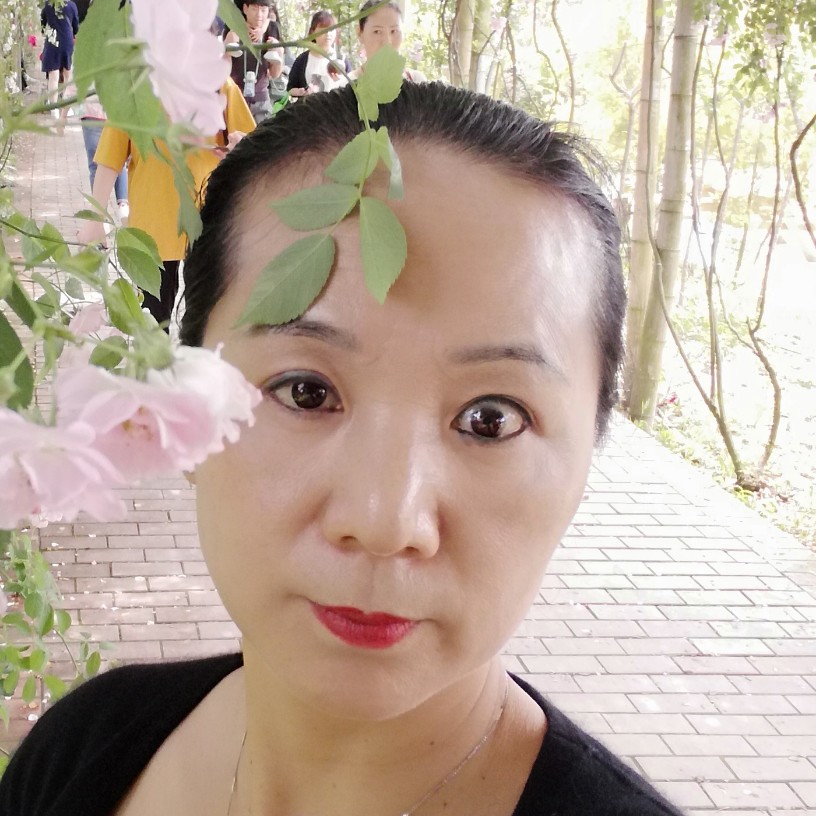 好归宿的照片