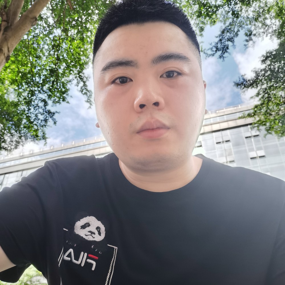 白鹭，的照片