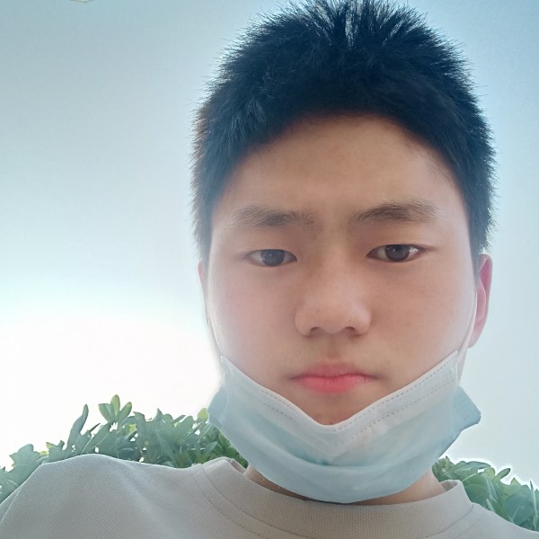 谎言211的照片