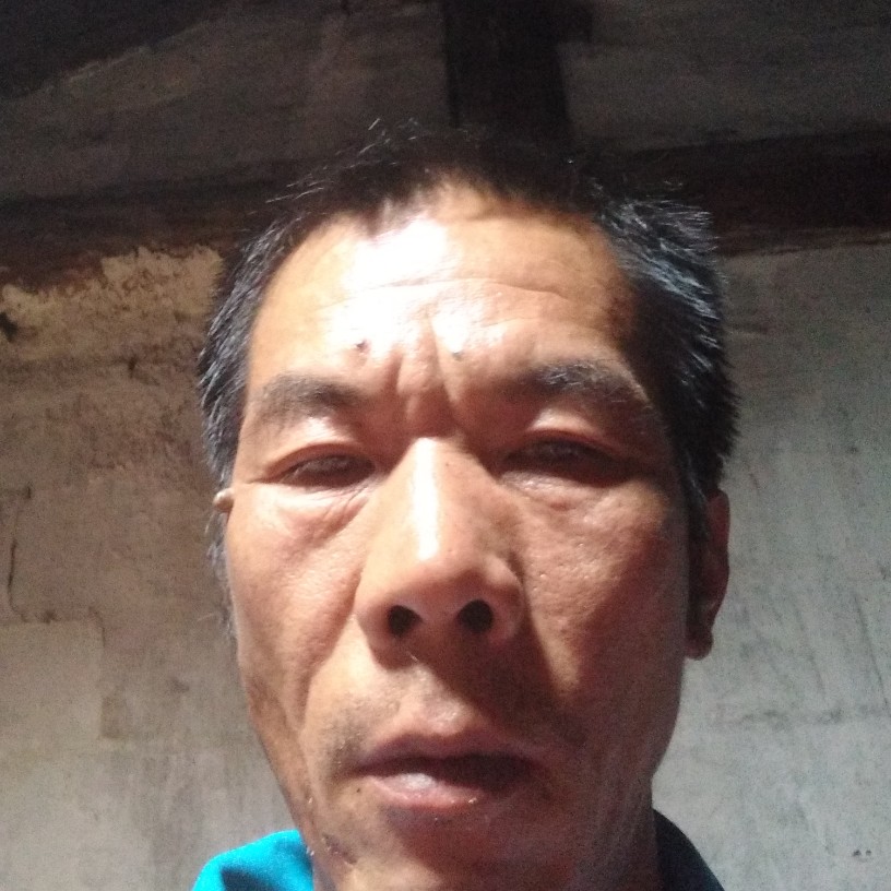 p东北狼陈学训的照片