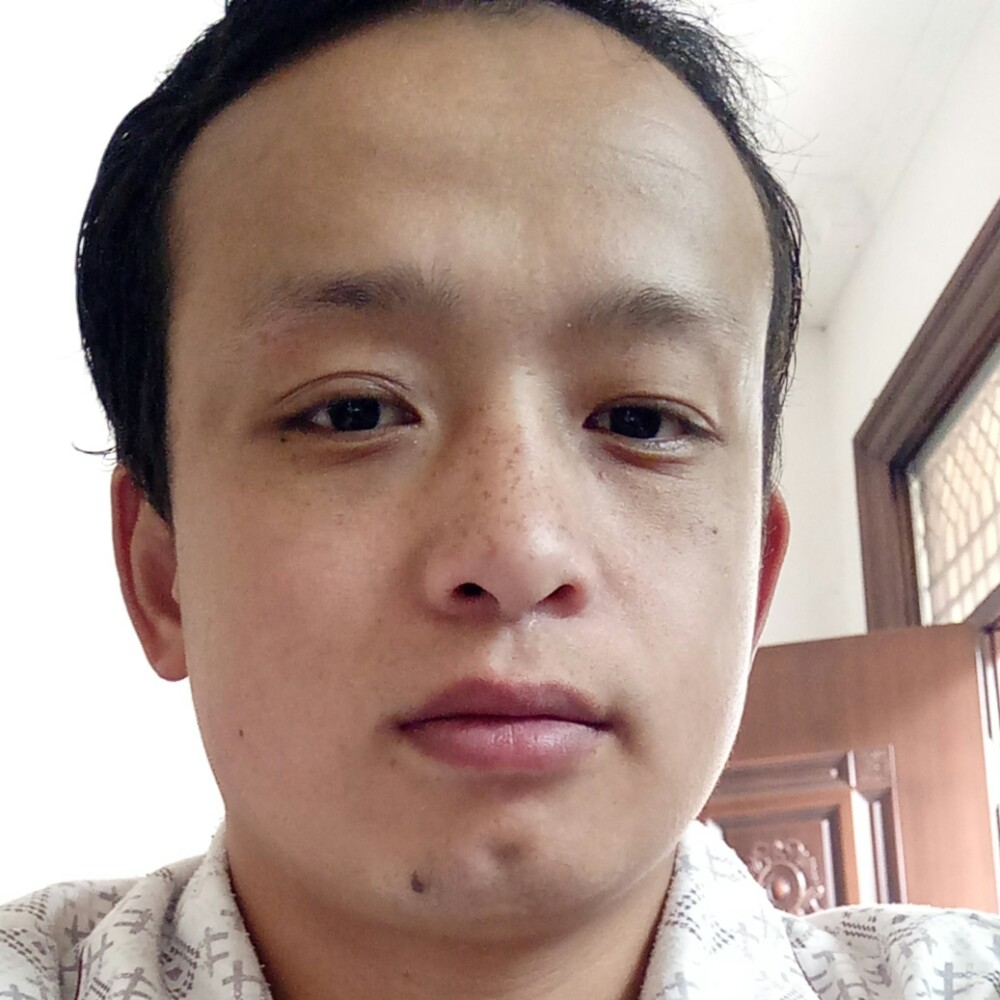 小鸽子拾忆神勇的照片