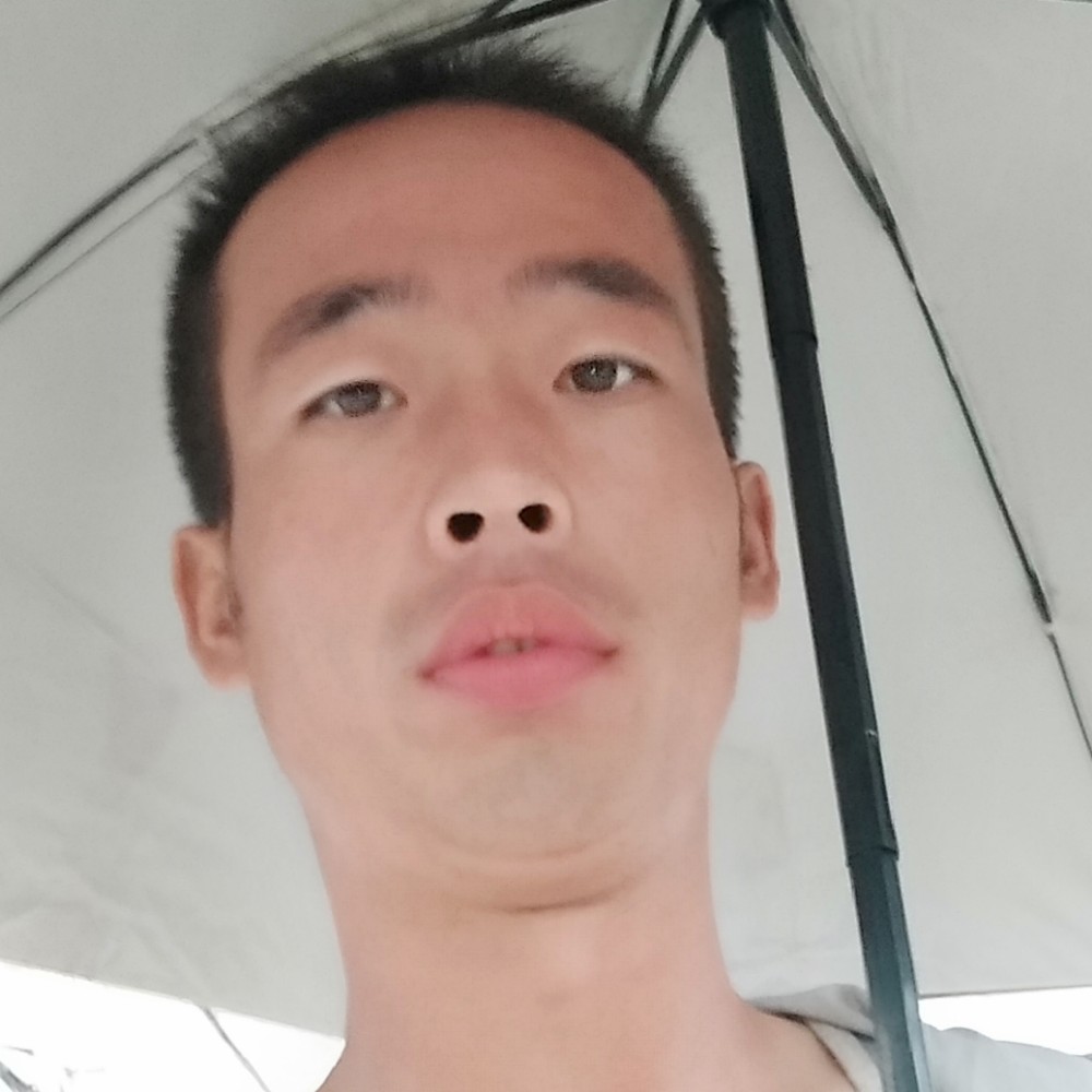 荔枝矮小的照片