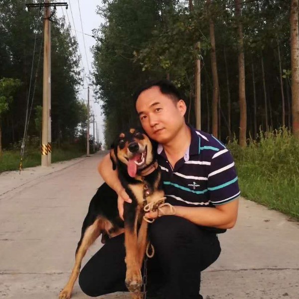 宏树林的照片