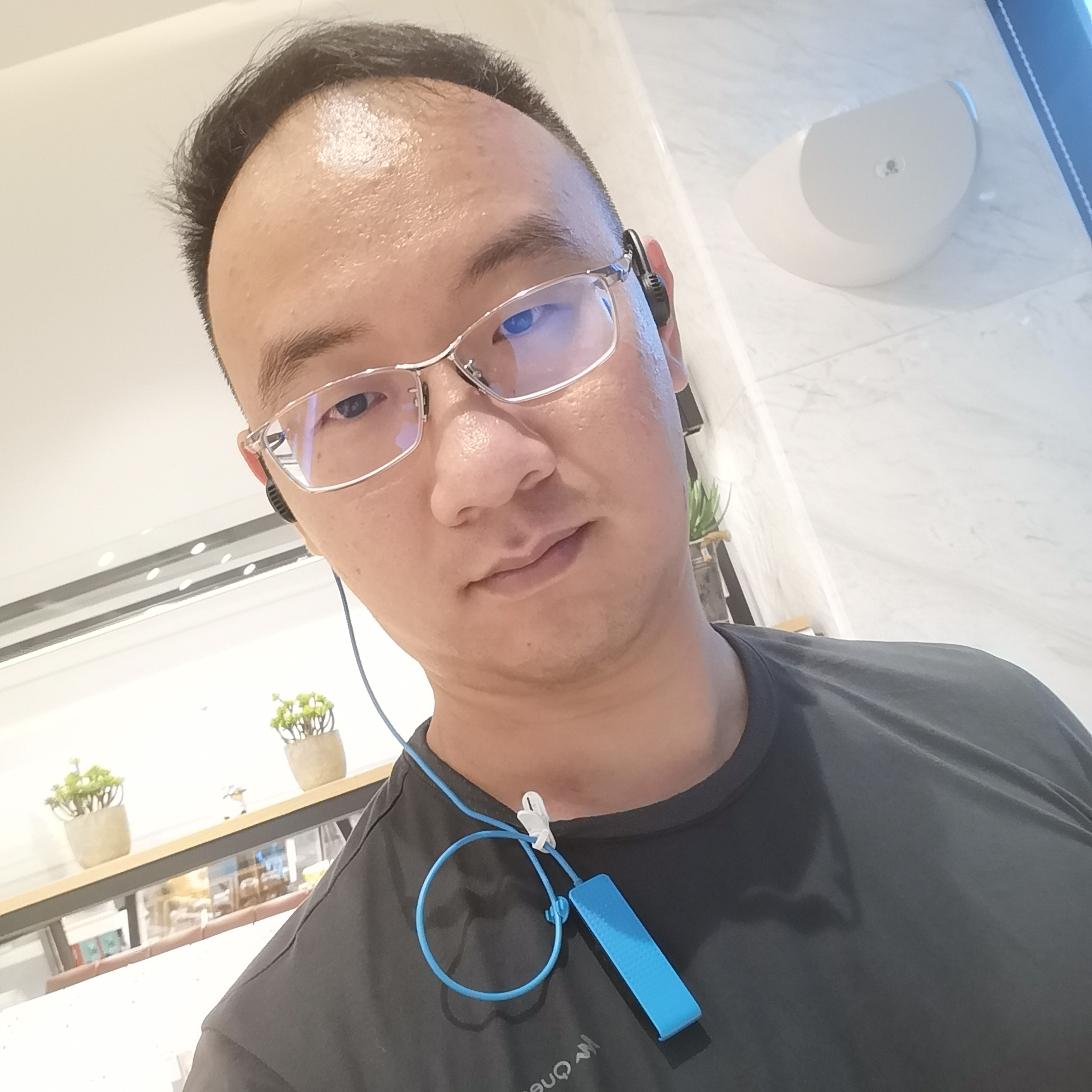 灯泡的笨笨的照片