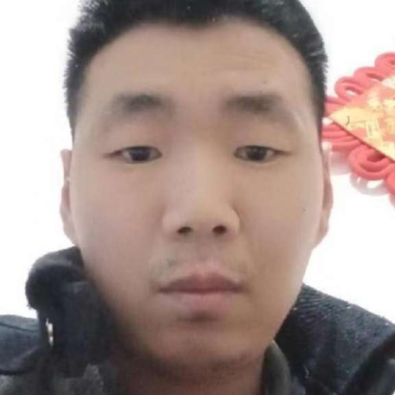 英勇踢小海豚的照片