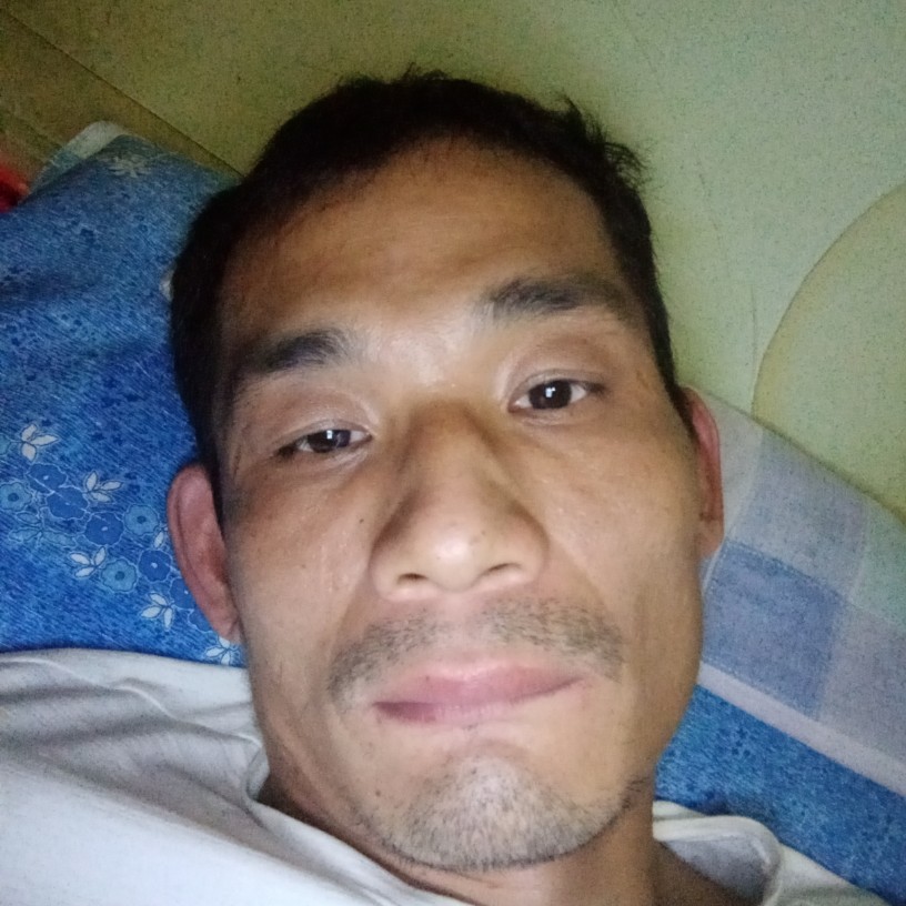 鱼挽手友好的照片