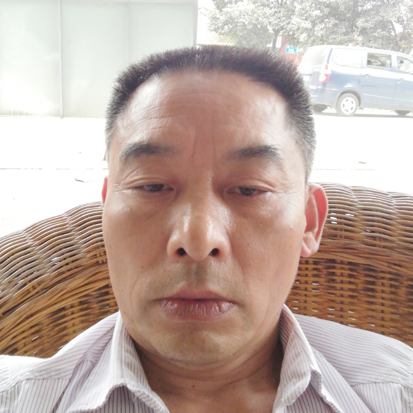 温柔给蛋挞的照片