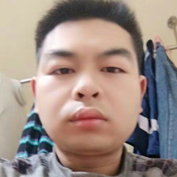 钢笔漫步饱满的照片