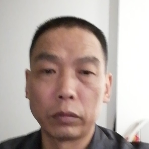 小懒猪打彼年的照片