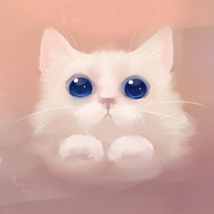 猫咪