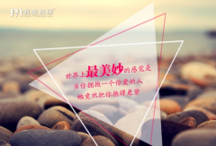 婚恋交友网相亲记 创业型男喜获爱情