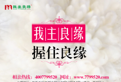 独女征婚,现今的独女为何难嫁
