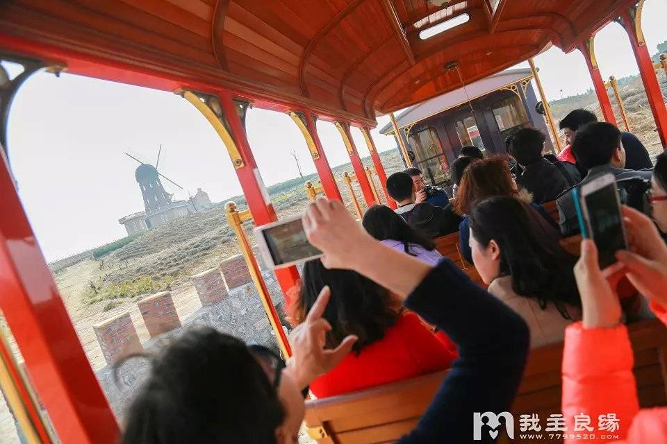 单身相亲活动哪家好 单身相亲活动哪家好