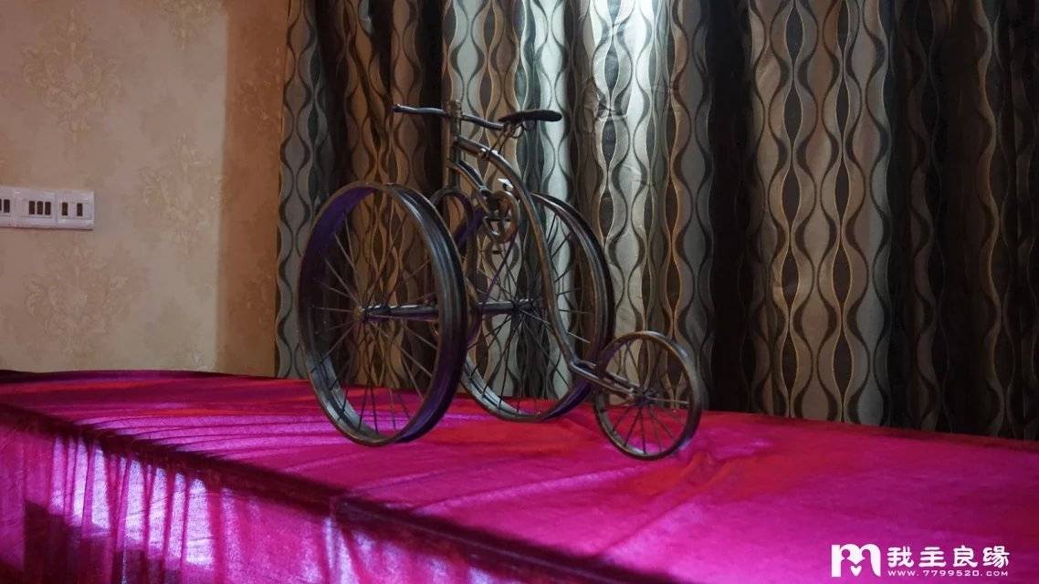 济南征婚选哪好 济南征婚选哪好