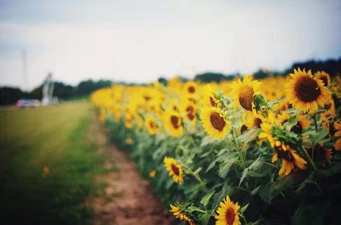 1435224558118632.png QQ截图20150625172845.png
