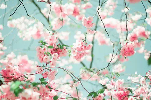 1435224565353721.png QQ截图20150625172850.png