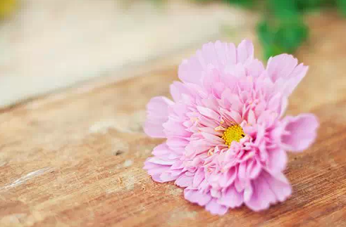 1435224571855869.png QQ截图20150625172855.png